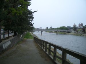 浅野川のサイクリングロード？
