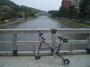 梅の橋