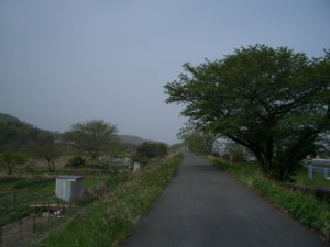 碓氷川サイクリングロード