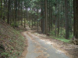 峠からの下り