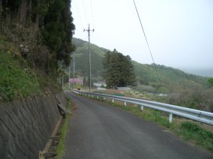 安心できる道に再会