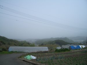 富岡方面の景色