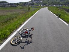 堤防の上で