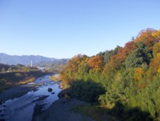 秩父橋からの紅葉