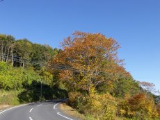 更なる峠を目指し