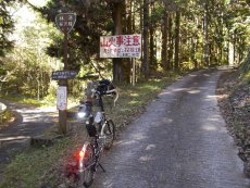 林道・広沢線を登ります。