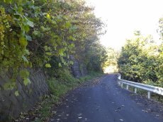 文殊峠の下りは・・・。