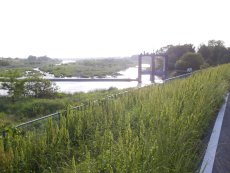 鏑川