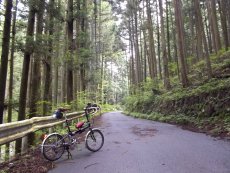 天目指峠への登り