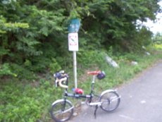 分れ道、迷い道