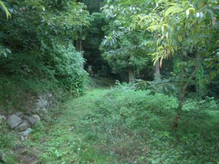 櫓峠のアプローチ