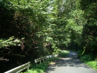 風早峠を目指して。