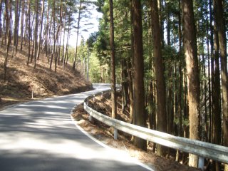 峠道