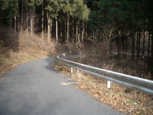 盗人越を下ります