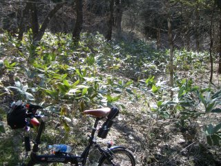 中牛首峠