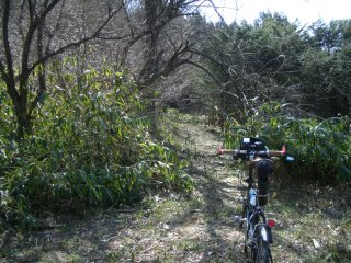 中牛首峠