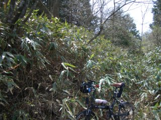 峠探し！