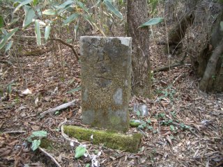 山の神と彫られた石碑です。