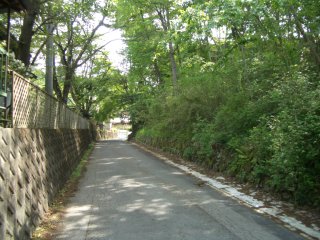 曽根坂峠への道