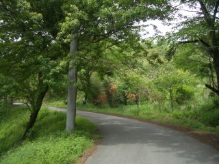 塞神峠へ