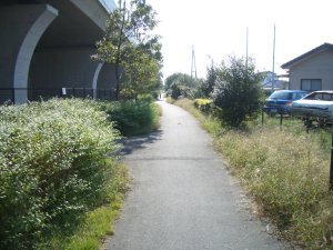 駒形付近の好きな道